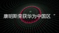 快排公司十年历程，霸屏兔 seo 的崛起与坚守