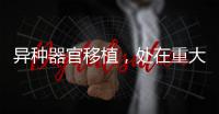 异种器官移植
，处在重大突破边缘