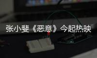 张小斐《恶意》今起热映	！勇闯恶女赛道以真情“刺痛”人心‌