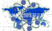 市属各大公园花开正艳
，正是踏青好时节