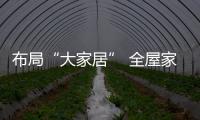 快排公司十年历程，霸屏兔 seo 的崛起与坚守