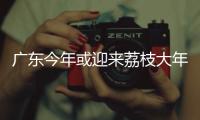 广东今年或迎来荔枝大年	
，产量有望比去年激增三到四成