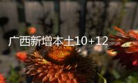 广西新增本土10+121 在北海市、崇左市等地