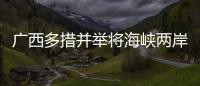 广西多措并举将海峡两岸产业合作区打造成台企聚集区