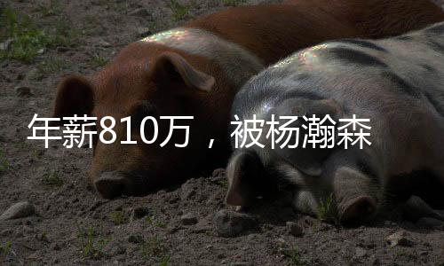 用专栏记者霍威尔的话说