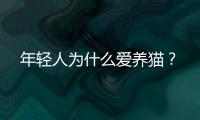 年轻人为什么爱养猫	？