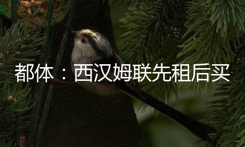 西汉先租据此前消息称