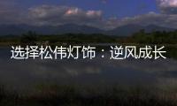 选择松伟灯饰：逆风成长
，向阳而生