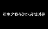 重生之我在洪水袭城时是退休教师