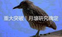 快排公司十年历程，霸屏兔 seo 的崛起与坚守