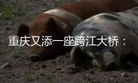 重庆又添一座跨江大桥	：马鞍石复线桥开工建设