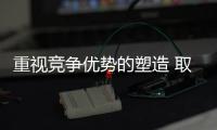 快排公司十年历程，霸屏兔 seo 的崛起与坚守