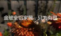 金玻全铝家居，只为有眼光的你而来!