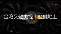 金湾又登央视
！盐碱地上“变”出1.8万亩良田