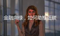 金融向绿�，如何助推低碳经济破浪前行｜2024企业双碳行动力调研