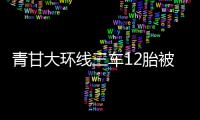 青甘大环线三车12胎被扎，官方通报�：两人被抓
