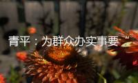 青平：为群众办实事要“踩准步点”
