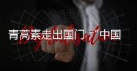 快排公司十年历程，霸屏兔 seo 的崛起与坚守