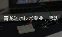青龙防水技术专业	，感动业主获赠锦旗