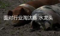 面对行业淘汰赛 水龙头企业如何脱颖而出?
