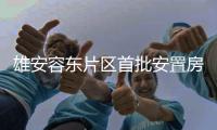 快排公司十年历程，霸屏兔 seo 的崛起与坚守