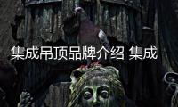 集成吊顶品牌介绍 集成吊顶十大品牌推荐