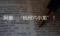 阿里
、“杭州六小龙”！澳琴组团赴杭招商，走访超20家知名企业