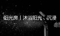 快排公司十年历程，霸屏兔 seo 的崛起与坚守