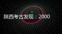 快排公司十年历程，霸屏兔 seo 的崛起与坚守