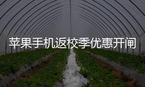 双方没有委托法律关系