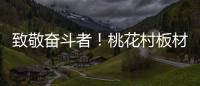 快排公司十年历程，霸屏兔 seo 的崛起与坚守