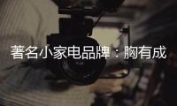 著名小家电品牌：胸有成竹 实现和抓住“财富商机”