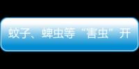 快排公司十年历程，霸屏兔 seo 的崛起与坚守