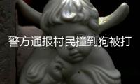 警方通报村民撞到狗被打
：5名嫌疑人到案 犬主曾任村干部