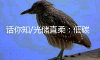 话你知/光储直柔：低碳建筑秘籍