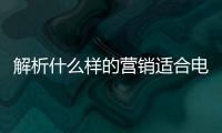 解析什么样的营销适合电动车十大品牌