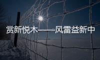赏新悦木——风雷益新中式红木家具抢占先机