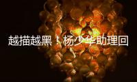 快排公司十年历程，霸屏兔 seo 的崛起与坚守