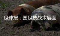 足球报�：国足技战术层面和亚洲强队差距太大 腰无力困境更是无解