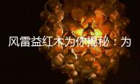 风雷益红木为你揭秘：为何红木家具这么贵?
