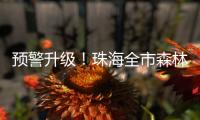 预警升级！珠海全市森林火险橙色预警信号生效