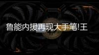 鲁能内援再现大手笔!王大Lei将携手戴琳加盟山东