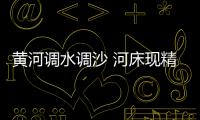 快排公司十年历程，霸屏兔 seo 的崛起与坚守