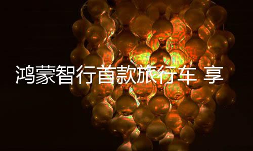 新车定位高端智能旅行车