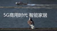 快排公司十年历程，霸屏兔 seo 的崛起与坚守