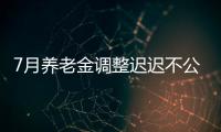 7月养老金调整迟迟不公布	，人社部却悄悄更新一条动态
，意味着啥