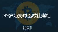 快排公司十年历程，霸屏兔 seo 的崛起与坚守