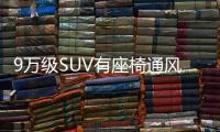 9万级SUV有座椅通风，韩系合资反击	，起亚赛图斯有希望吗？