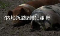 快排公司十年历程，霸屏兔 seo 的崛起与坚守