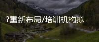 ?重新布局/培训机构拟借“文博热”转型